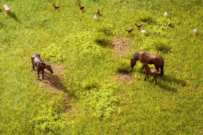 Noch - 60771 - Vegetation Starter Set - Meadow 1