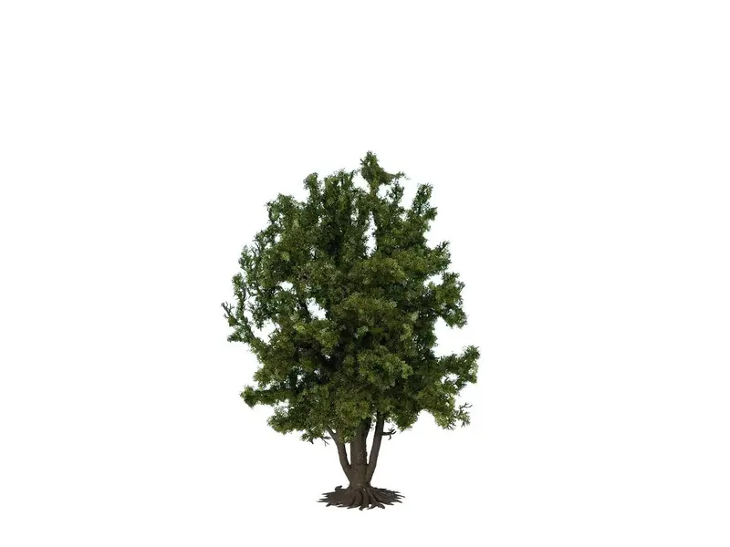 Noch 68015 - Deciduous Tree (24Cm) 1