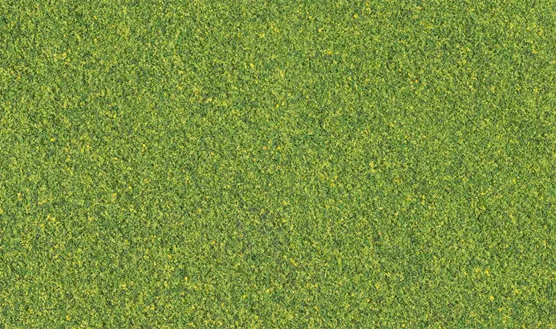 T1349 - Blended Turf Shaker - Green 1