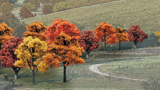 Tr1575 - Trees - Fall Colours Deciduous 38Pc (1.9Cm-5.08Cm) 1