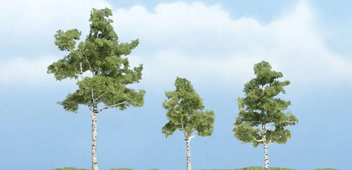 Tr1605 - Trees - Paper Birch 3Pc (3.81Cm-6.98Cm) 1
