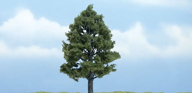 Tr1608 - Tree - Sweetgum 1Pk (10.1Cm) 1