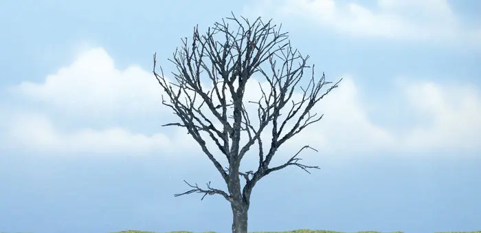 Tr1614 - Tree - Dead Maple 1Pc (10.7Cm) 1