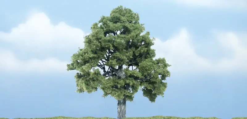 Tr1615 - Tree - Beech 1Pc (10.1Cm) 1