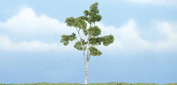 Tr1616 - Tree - Paper Birch 1Pc (10.1Cm) 1