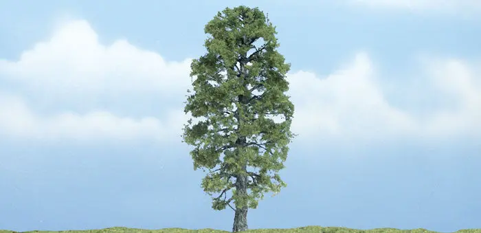 Tr1618 - Tree - Basswood 1Pc (10.1 Cm) 1