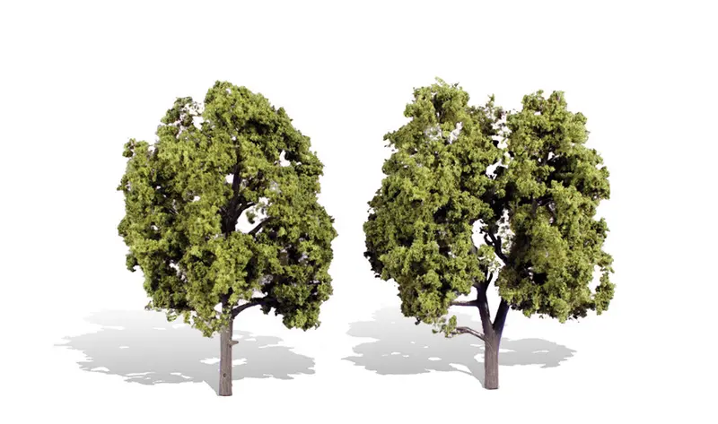 Tr3512 - Trees - Early Light 2Pk (12.7Cm-15.2Cm) 1