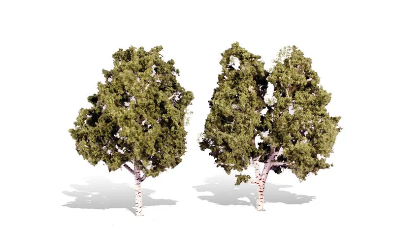 Tr3536 - Trees - Waters Edge 2Pk (12.7-15.2Cm) 1