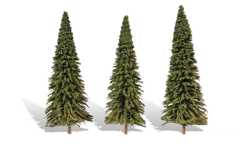 Tr3573 - Trees - Conifer Forever Green 3Pk (15.2Cm-17.7Cm) 1