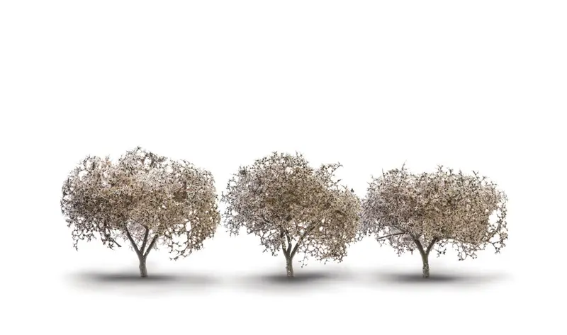 Tr3594 - Trees - Cherry Blossoms 3Pk (4.44-5.71Cm) 1