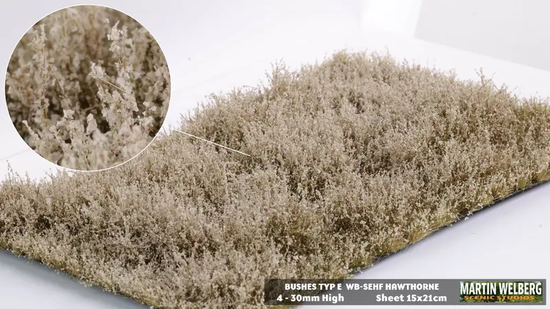 Wb-Sehf - Bushes - Type E - Hawthorne 1